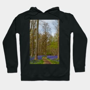 Bluebell Woods Greys Court Oxfordshire England UK Hoodie